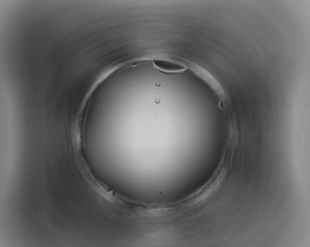 X0000113530908200910021327