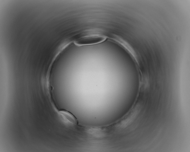 X0000113530909200910021327