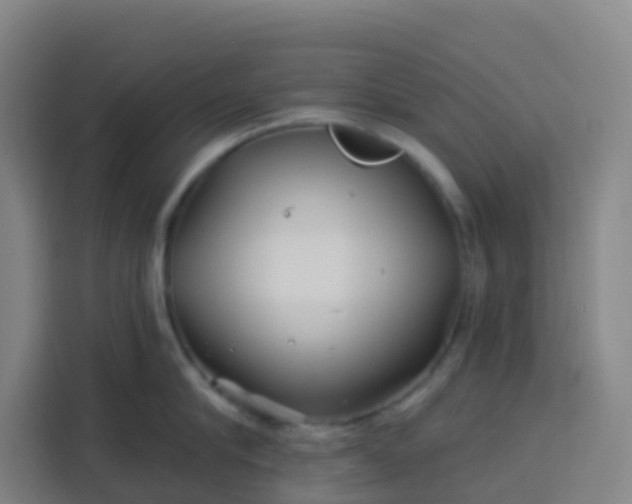 X0000113530910200910021327