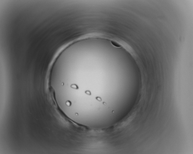 X0000113530912200910021327