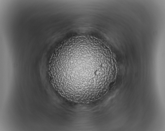 X0000113530913200910021326