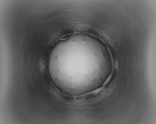 X0000113530915200910021326