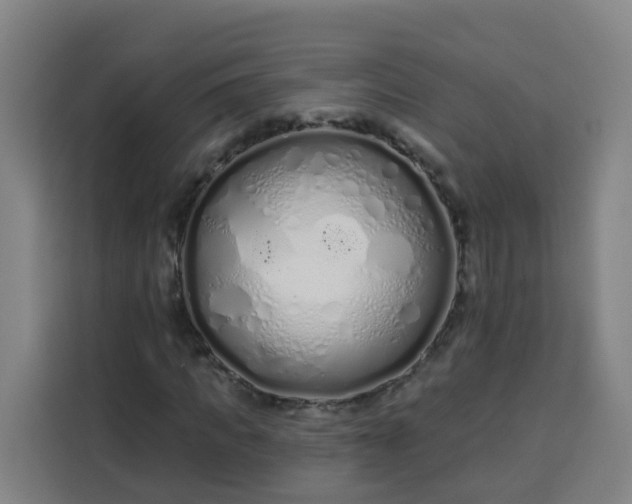 X0000113530917200910021326