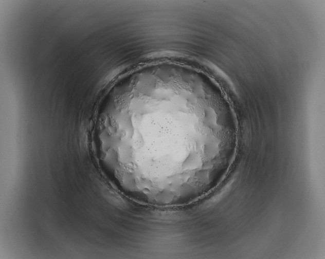 X0000113530921200910021326