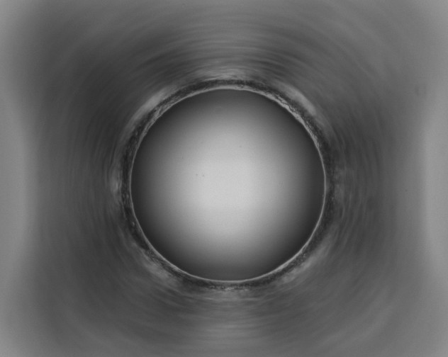 X0000113530922200910021326