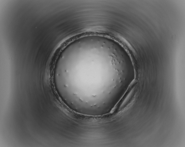 X0000113530923200910021326