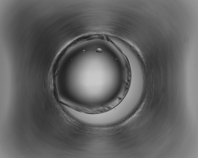 X0000113530925200910021326