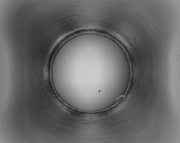 X0000113530927200910021326