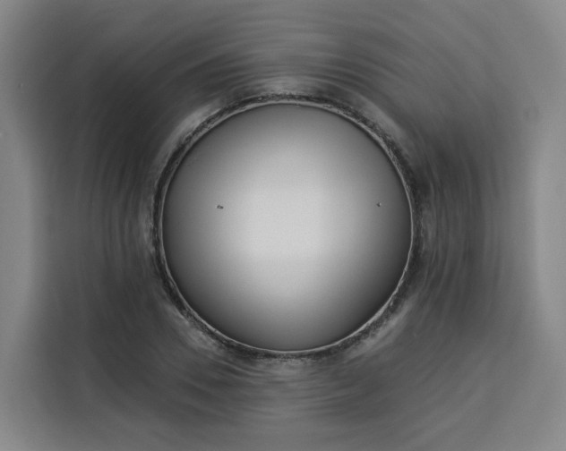 X0000113530930200910021326