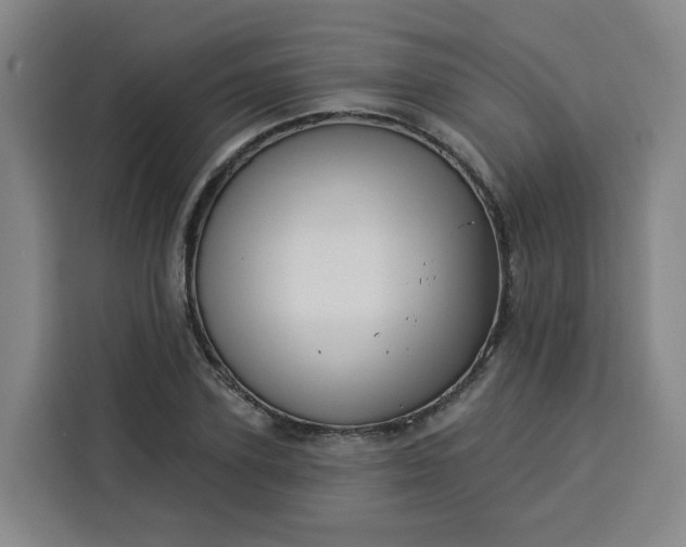 X0000113530931200910021326