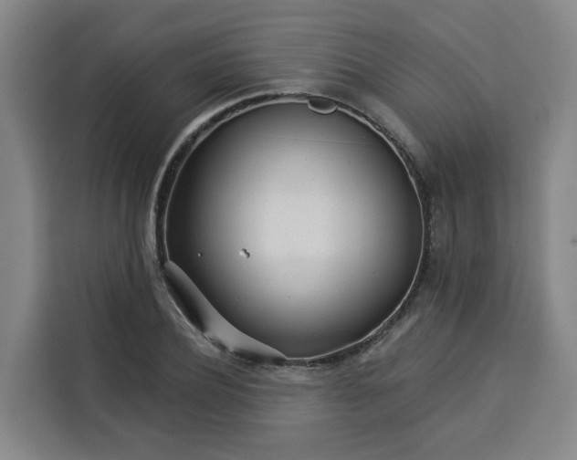 X0000113530932200910021326