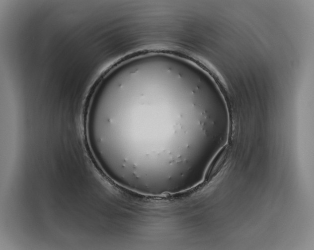 X0000113530935200910021326