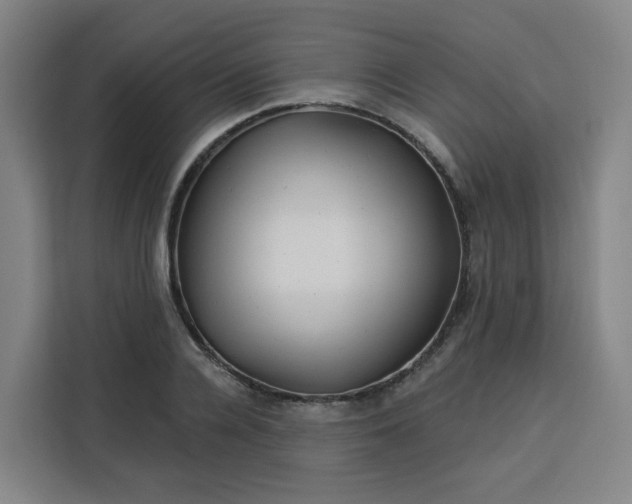 X0000113530936200910021326