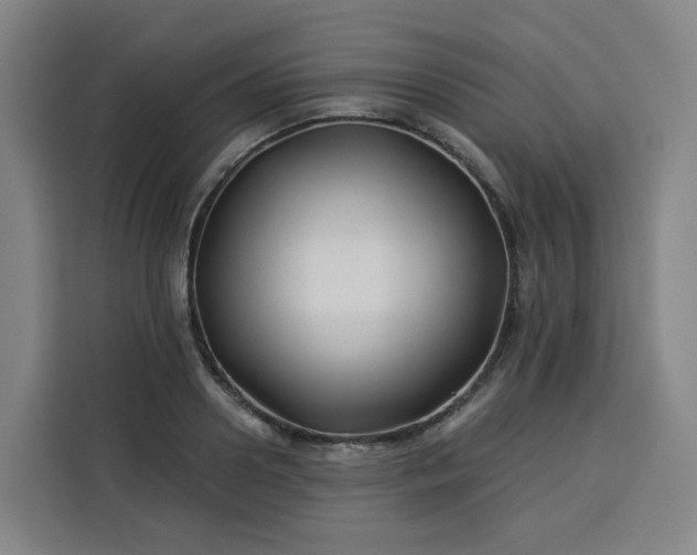 X0000113530938200910021327