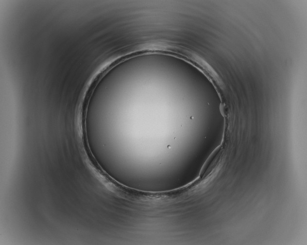 X0000113530939200910021327