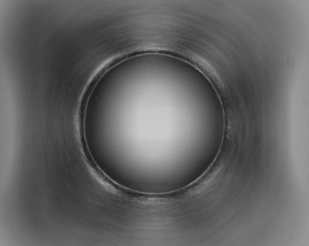 X0000113530942200910021327