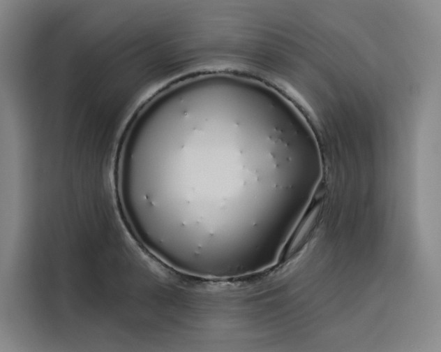 X0000113530943200910021327