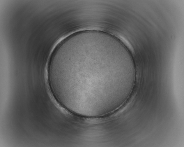 X0000113530944200910021327