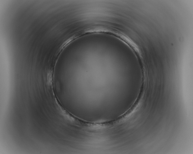 X0000113530945200910021327