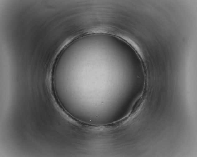 X0000113530949200910021327