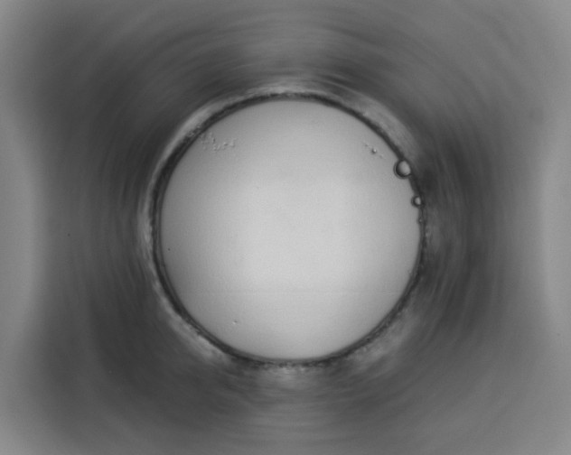 X0000113530950200910021327