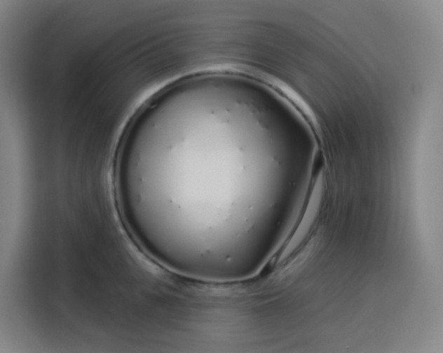 X0000113530951200910021327