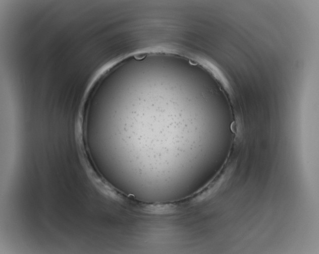 X0000113530952200910021327