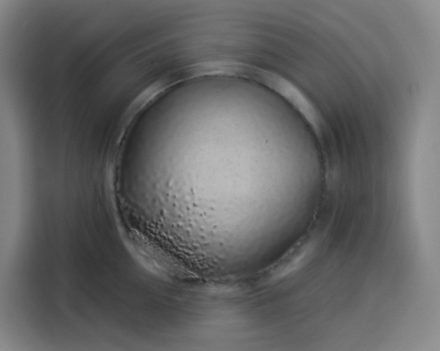 X0000113530954200910021327