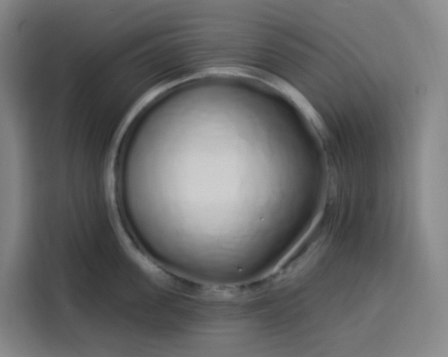 X0000113530955200910021327