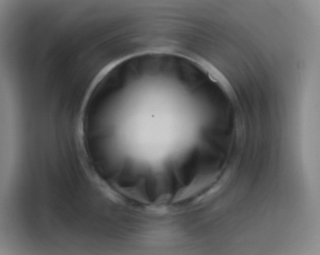 X0000113530956200910021327