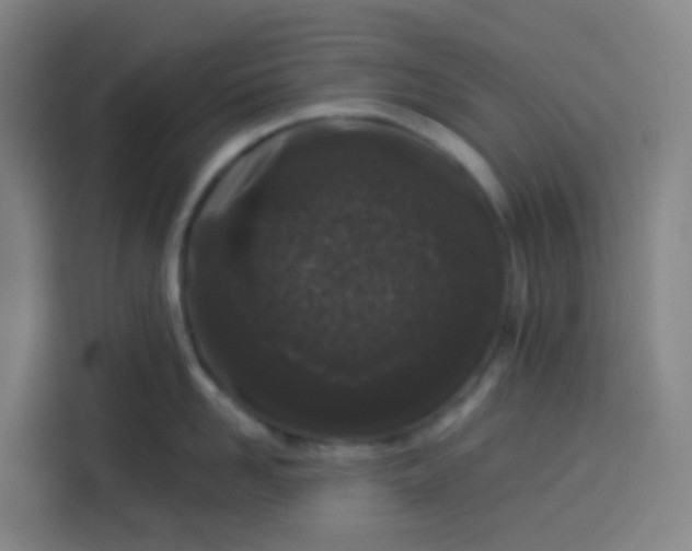 X0000113530958200910021327