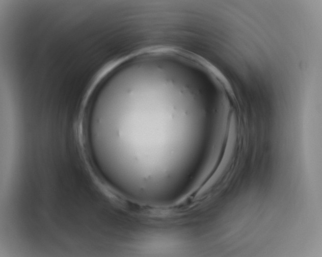 X0000113530959200910021327