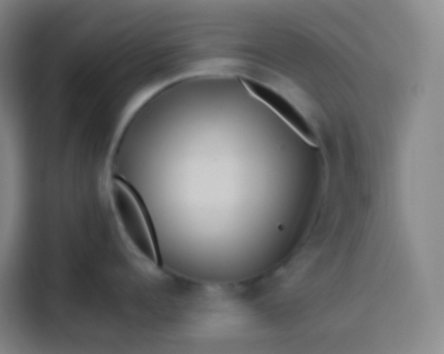 X0000113530960200910021327