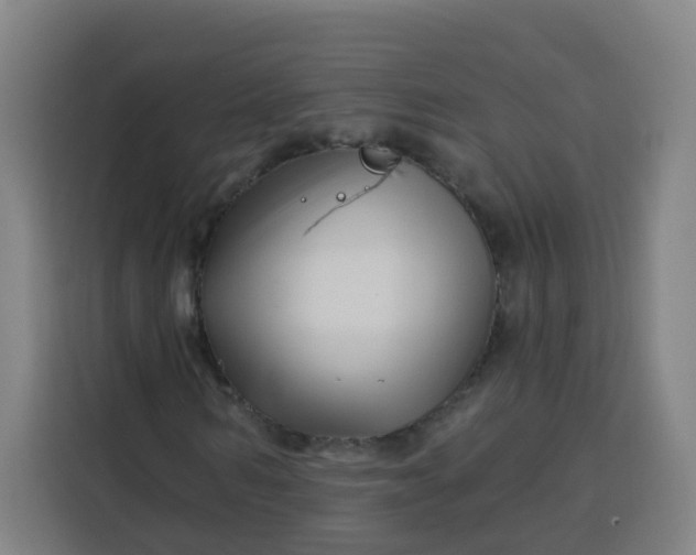 X0000113530962200910021326