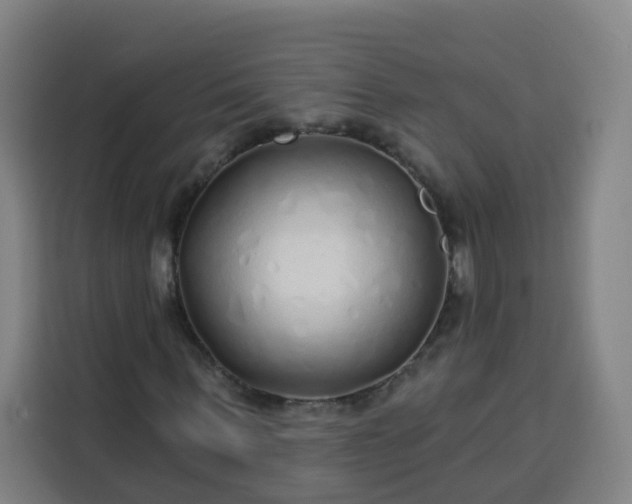 X0000113530963200910021326