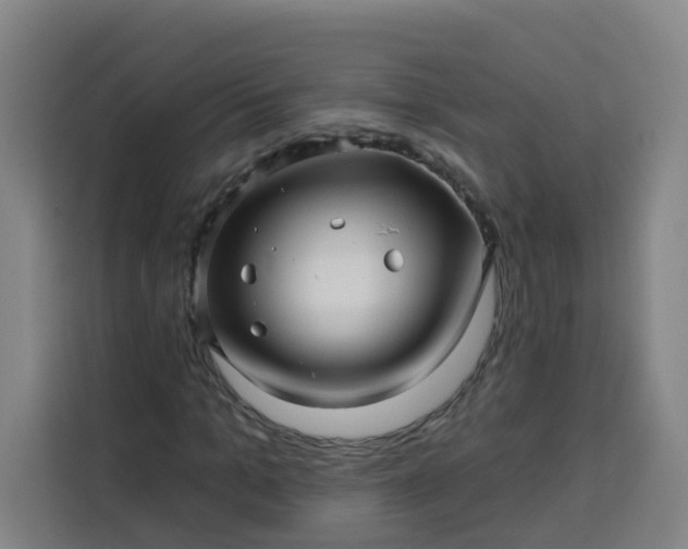 X0000113530965200910021326