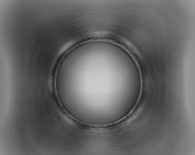 X0000113530970200910021326