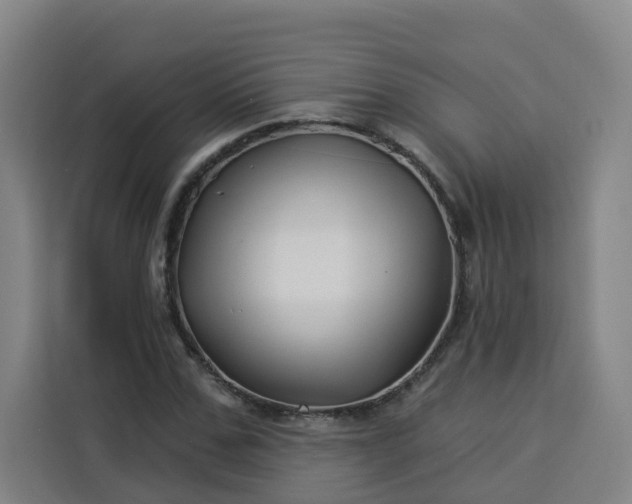 X0000113530971200910021326