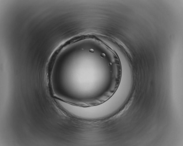 X0000113530973200910021326