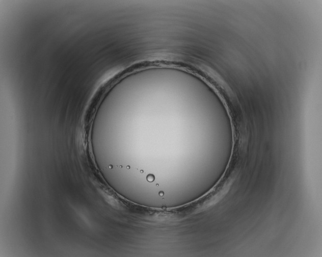 X0000113530974200910021326