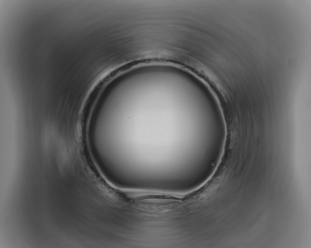 X0000113530975200910021326