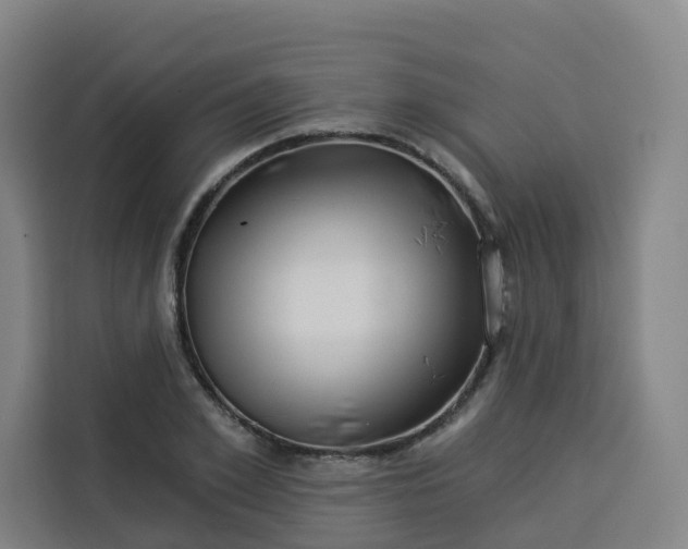 X0000113530981200910021326