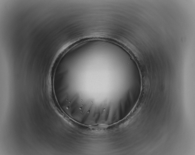 X0000113530982200910021326