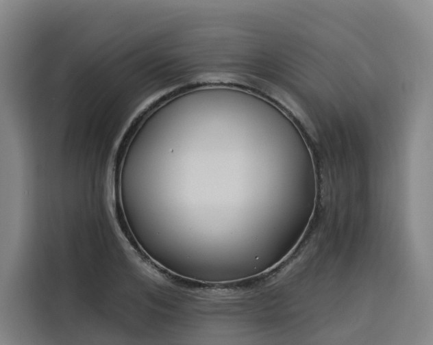 X0000113530984200910021326