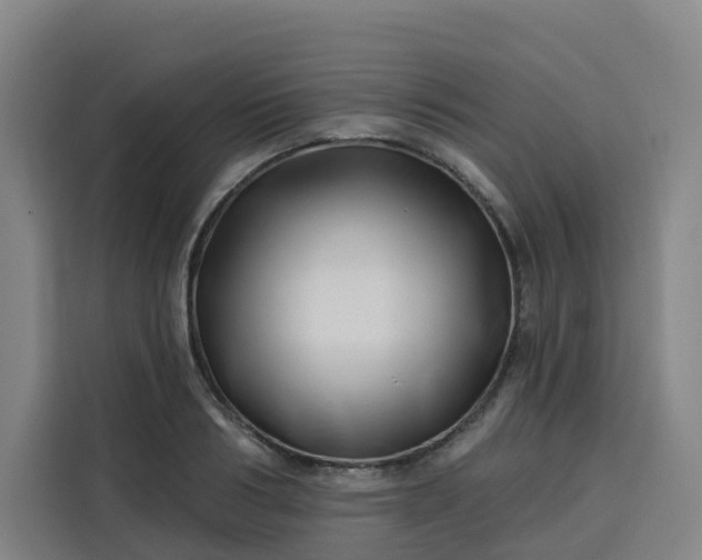 X0000113530986200910021326