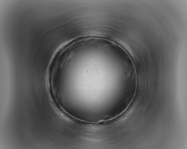 X0000113530987200910021326