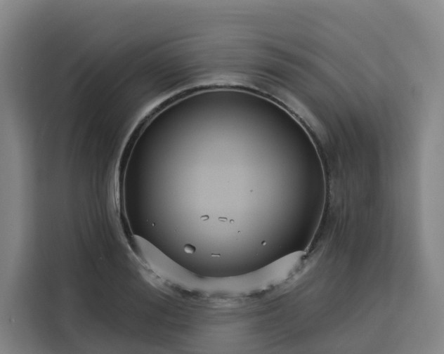 X0000113530988200910021326