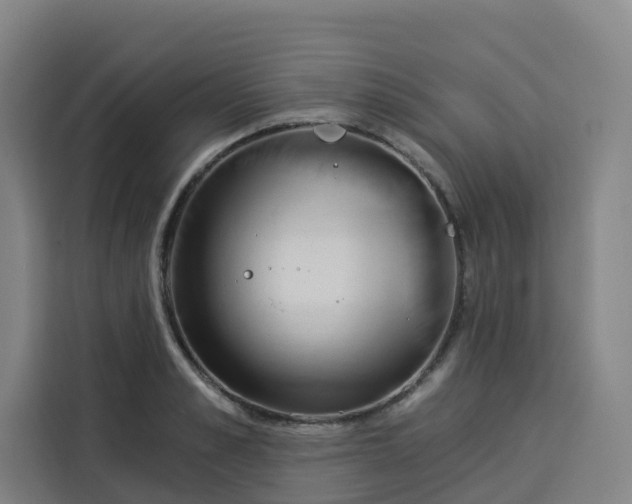 X0000113530989200910021326