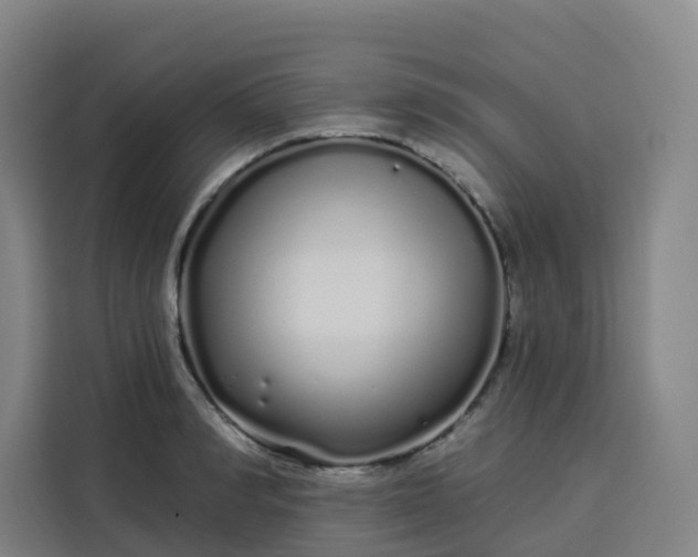 X0000113530990200910021326