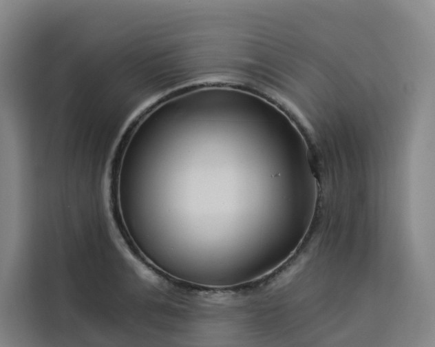 X0000113530991200910021326